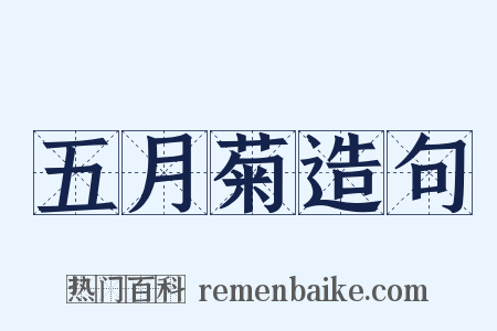 五月菊造句是什么意思的图片